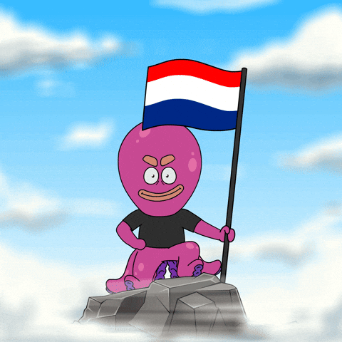 Flag Country GIF by Octo Gaming
