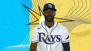 Tampa Bay Rays Baseball GIF by MLB