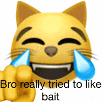 Cat Bait GIF