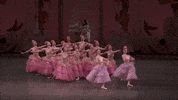 the nutcracker flowers GIF by New York City Ballet