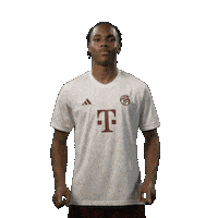 Football Sport Sticker by FC Bayern Munich