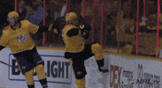 nhl happy sports celebration excited GIF
