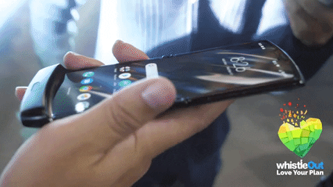 sherririggs giphygifmaker whistleout GIF