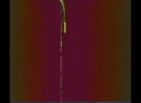 video glitch GIF by Robert Beatty