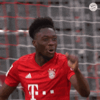 Robert Lewandowski Football GIF by FC Bayern Munich