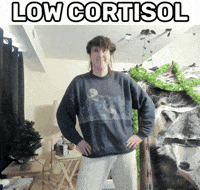 Dance Dancing GIF