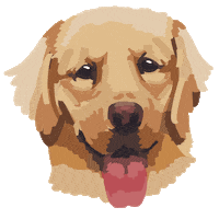 golden retriever dog Sticker by bloom daily planners