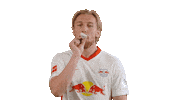 Happy Birthday Football Sticker by RB Leipzig