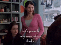 season 1 netflix GIF by Gilmore Girls 