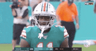 Regular Season Football GIF by NFL