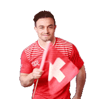 Xherdan Shaqiri Switzerland Sticker by Swiss Football Association
