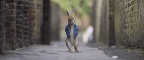 Walking Sony GIF by Peter Rabbit Movie