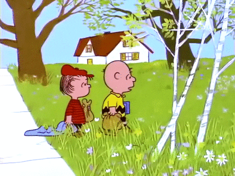 charlie brown GIF by Peanuts