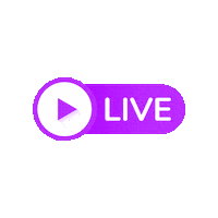 Live Sticker by BIGI_TV