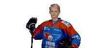 unisflyers goal eagles flyers nederland Sticker