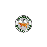 cfkono crossfit vikings viking ישראל Sticker
