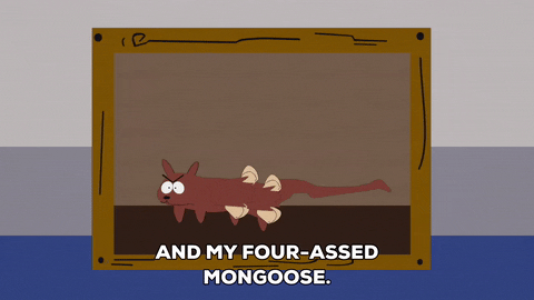 lion mongoose GIF by South Park 