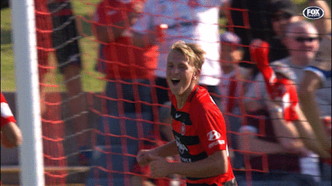 wswanderersfc giphyupload celebration goal wanderers GIF