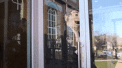 door benandjohn GIF by Franklin & Marshall College