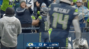 Seattle Seahawks Football GIF by NFL