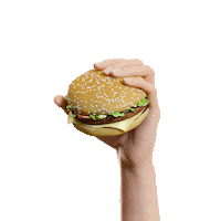 alistae burger open mirror dubai Sticker