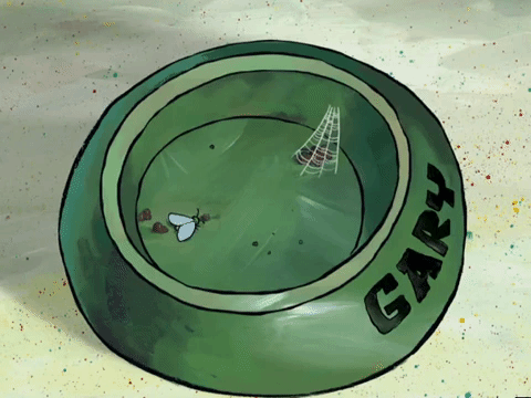 season 4 episode 3 GIF by SpongeBob SquarePants