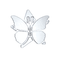 Butterfly Scandal Sticker by scandalbeauty