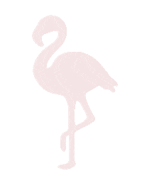Flamingo Sticker by Beis