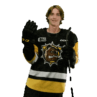 BrantfordBulldogs bulldogs obrien ohl brantford Sticker