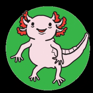 6DS axolotl happy axolotl 6dollarshirts axolotl6ds GIF