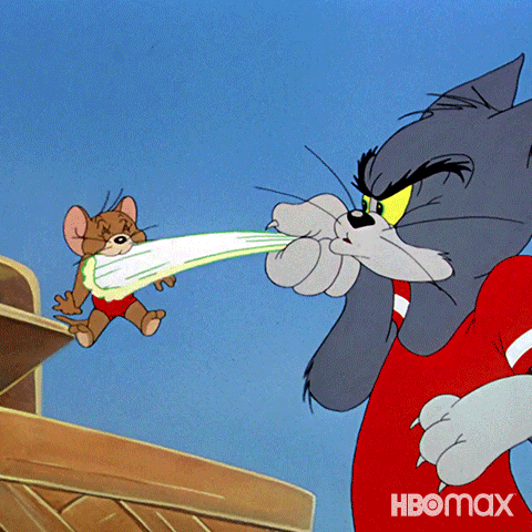 Chasing Tom And Jerry GIF by HBO Max