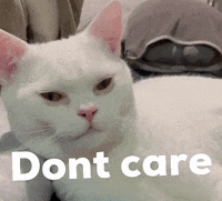 Cat Dont Care GIF