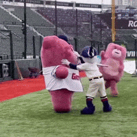 Pink Baseball GIF