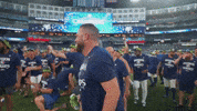 Blue Jays Baseball GIF by Toronto Blue Jays