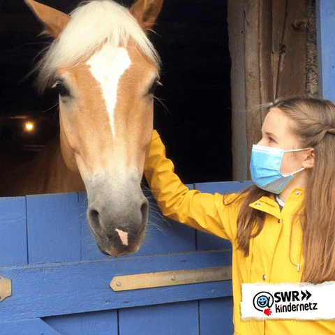 Tiere Bis Unters Dach Girl GIF by SWR Kindernetz