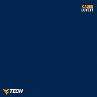 Wvu Tech GIF by WVU Tech Golden Bears