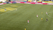GIF by FOX Sports