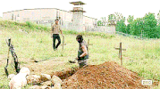 grave GIF