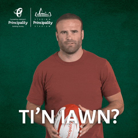 Jamie Roberts Reaction GIF by PrincipalityBS