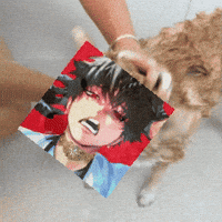 Vivi GIF