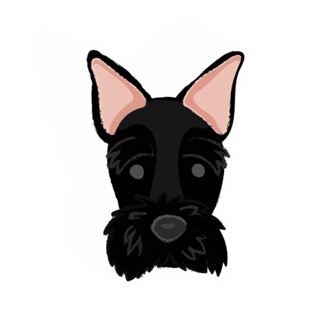 Animation Moving Sticker by Ferrioni