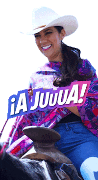 libiadennise fun mexico horse politica Sticker