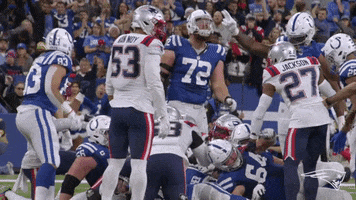 I See Football GIF by New England Patriots