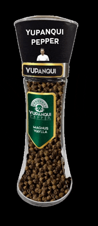 yupanquipepper yupanquipepper GIF
