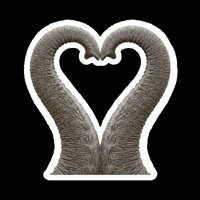 Heart Trunk GIF by Caparol Deutschland