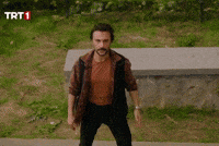 Trt1 Aile GIF