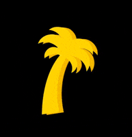Palm Tree Summer GIF by On the Beach