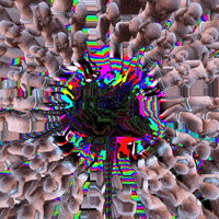 Baby Feedback GIF by PERFECTL00P