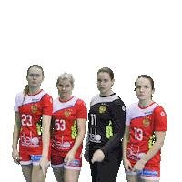 Sport Team Sticker by Rushandball