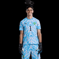 Fifa World Cup Morocco GIF by Respective